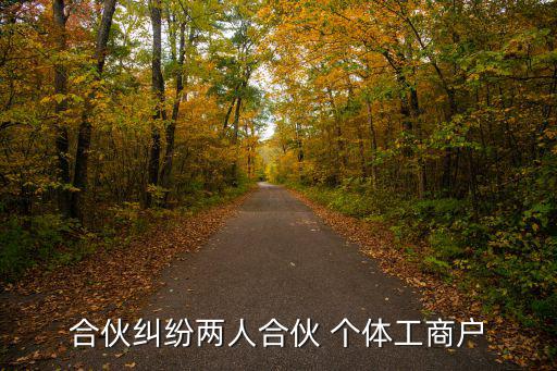 合伙糾紛兩人合伙 個體工商戶