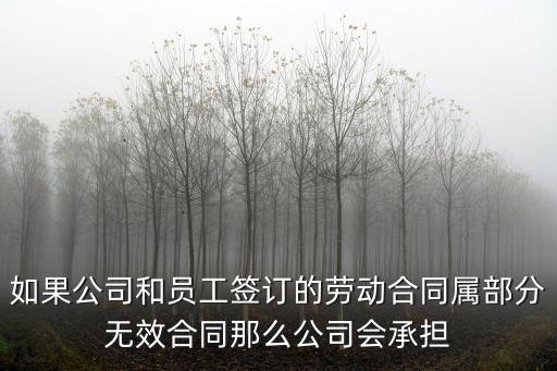 如果公司和員工簽訂的勞動合同屬部分無效合同那么公司會承擔(dān)