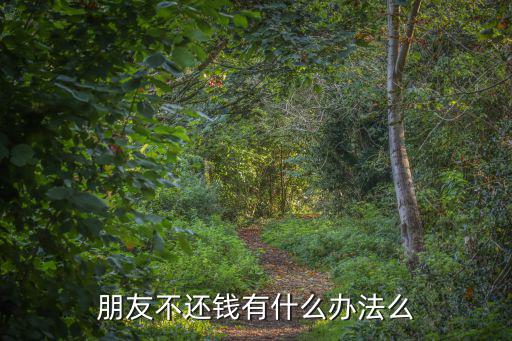 朋友不還錢有什么辦法么