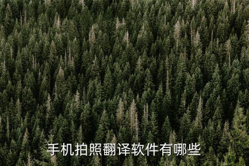 手機(jī)拍照翻譯軟件有哪些