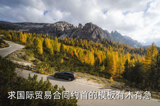 求國際貿易合同約首的模板有木有急