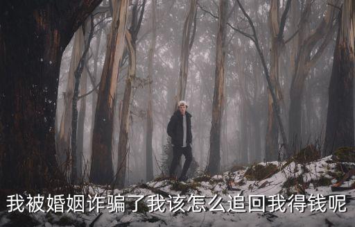 我被婚姻詐騙了我該怎么追回我得錢呢