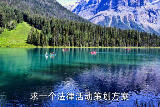 求一個法律活動策劃方案