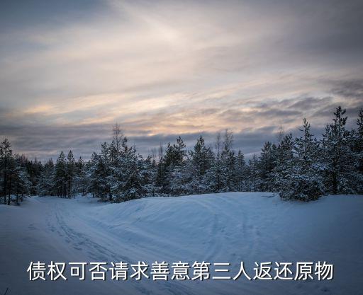 債權(quán)可否請(qǐng)求善意第三人返還原物