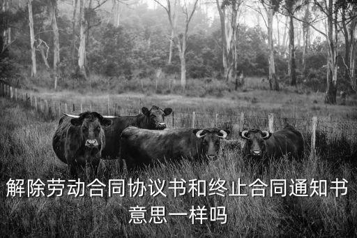 終止合同和解除合同書(shū)，解除和終止勞動(dòng)合同證明書(shū)怎么寫(xiě)