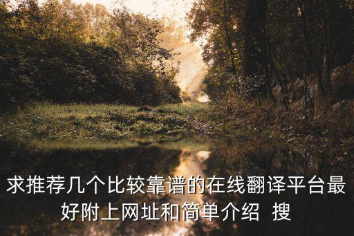 求推薦幾個(gè)比較靠譜的在線翻譯平臺(tái)最好附上網(wǎng)址和簡(jiǎn)單介紹  搜