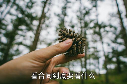 看合同到底要看什么