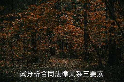 試分析合同法律關(guān)系三要素