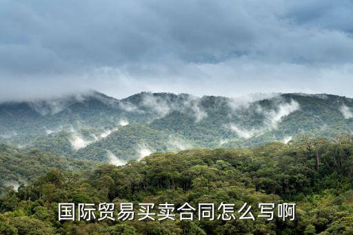 國(guó)際貿(mào)易買(mǎi)賣(mài)合同怎么寫(xiě)啊