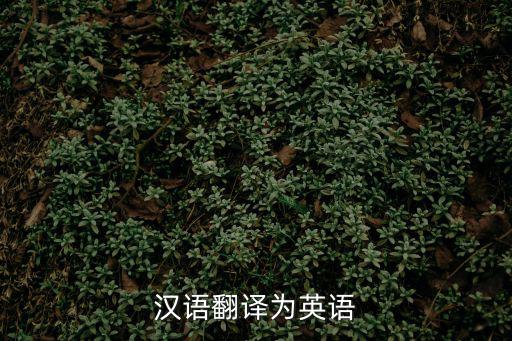 漢語翻譯為英語