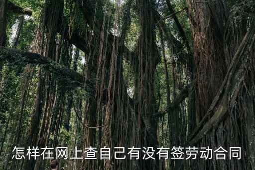 怎樣在網(wǎng)上查自己有沒有簽勞動合同