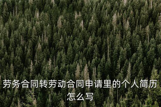 個人勞務合同模板簡單的，勞務合同轉勞動合同申請里的個人簡歷怎么寫