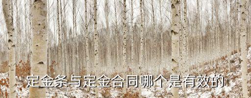 定金條與定金合同哪個(gè)是有效的