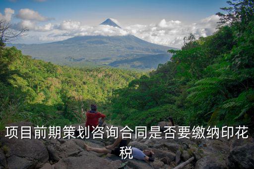 項(xiàng)目前期策劃咨詢合同是否要繳納印花稅
