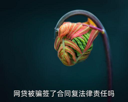 網(wǎng)貸被騙簽了合同復(fù)法律責(zé)任嗎