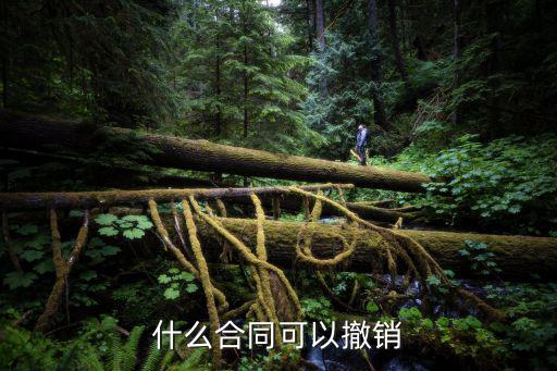 合同可撤銷(xiāo)的情形，可撤銷(xiāo)合同應(yīng)具備哪些條件哪些情形下