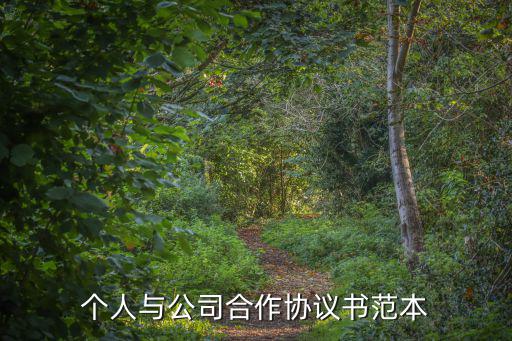 個人與公司合作協(xié)議書范本
