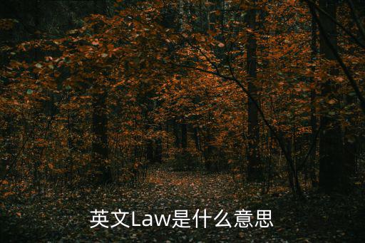 英文Law是什么意思