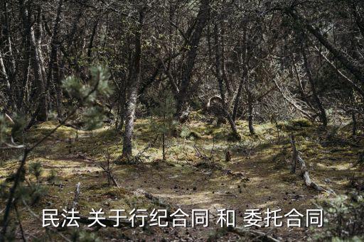 民法 關(guān)于行紀(jì)合同 和 委托合同
