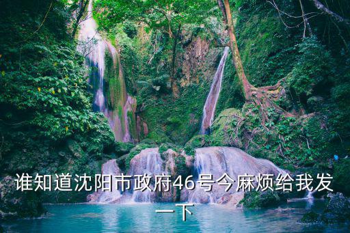 誰(shuí)知道沈陽(yáng)市政府46號(hào)今麻煩給我發(fā)一下