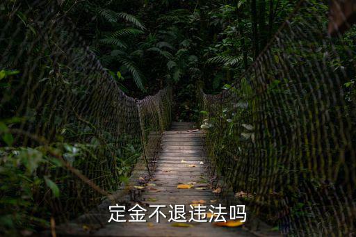 不退定金犯法嗎，客戶交的是定金他不要東西要退款我不退他違法嗎