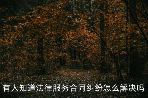 有人知道法律服務(wù)合同糾紛怎么解決嗎