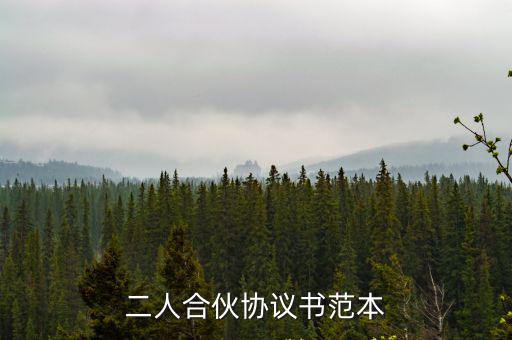 兩人合伙人合同協(xié)議書范本，兩人合伙合同該怎么寫