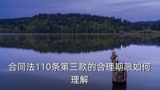 合同法110條第三款的合理期限如何理解