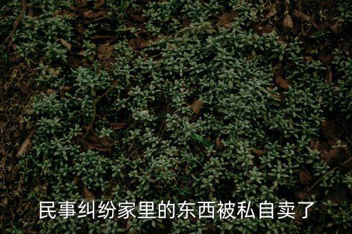 民事糾紛家里的東西被私自賣了