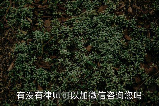 有沒(méi)有律師可以加微信咨詢(xún)您嗎
