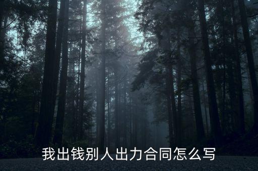 一方出資一方出力合作協(xié)議范本，1方出資1方出力丶合同怎樣寫