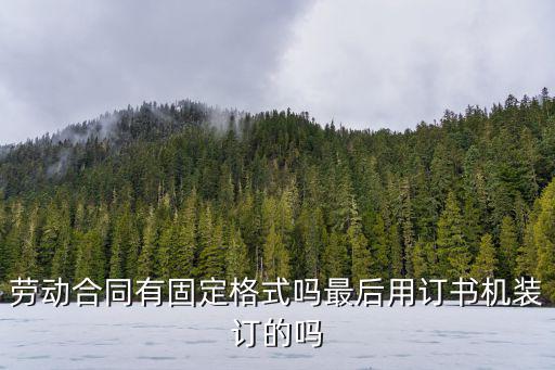 勞動合同有固定格式嗎最后用訂書機裝訂的嗎