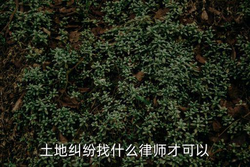 土地糾紛找什么律師才可以