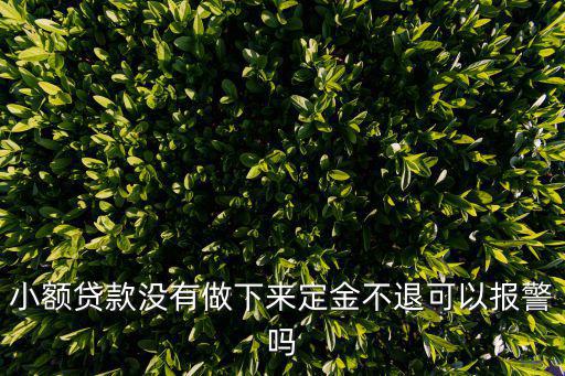 小額貸款沒有做下來定金不退可以報警嗎