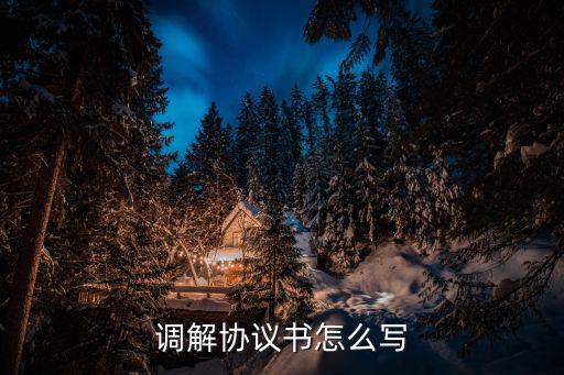 打架斗毆雙方同意調(diào)解協(xié)議書，雙方打架一方輕傷調(diào)解書怎么寫