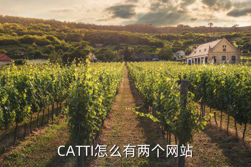 catti官方網(wǎng)站，除了CATTI官網(wǎng)還有哪個網(wǎng)站輔導(dǎo)CATTI比較強我考英語的