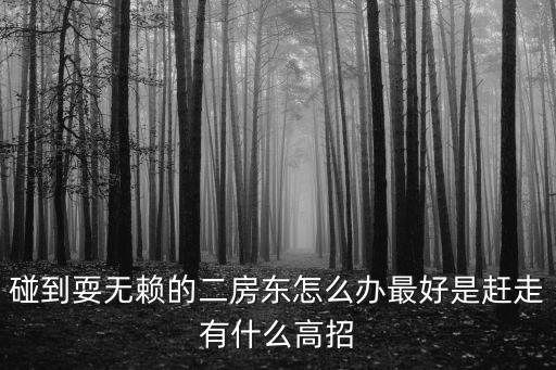 碰到耍無賴的二房東怎么辦最好是趕走有什么高招