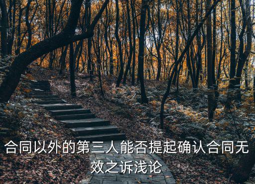 合同以外的第三人能否提起確認(rèn)合同無(wú)效之訴淺論