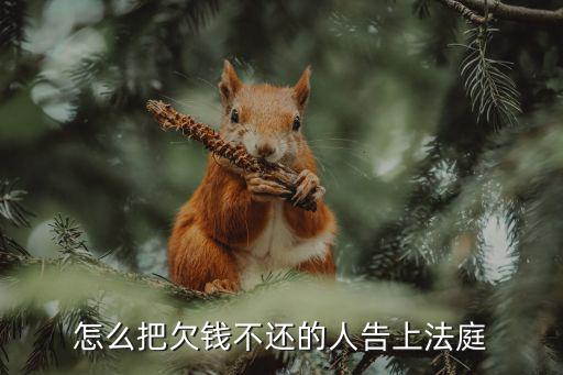 怎么直接從網(wǎng)上起訴欠錢不還的人，欠錢不還的人怎么把他在各個(gè)網(wǎng)站投訴拉黑