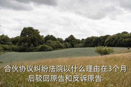 合伙協(xié)議糾紛法院以什么理由在3個(gè)月后駁回原告和反訴原告