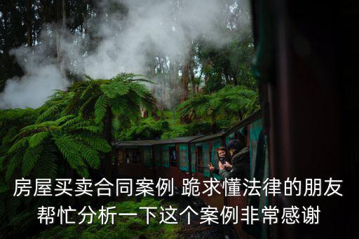 房屋買賣合同案例 跪求懂法律的朋友幫忙分析一下這個(gè)案例非常感謝