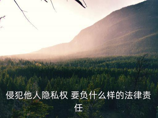 泄露個(gè)人隱私承擔(dān)什么責(zé)任，侵犯他人隱私權(quán) 要負(fù)什么樣的法律責(zé)任