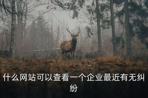 什么網(wǎng)站可以查看一個企業(yè)最近有無糾紛
