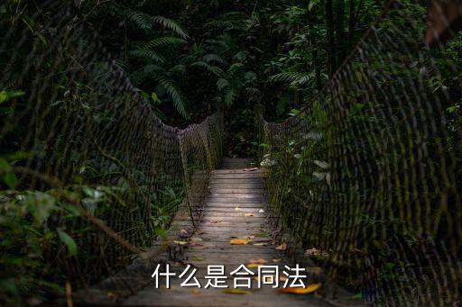 合同法的全名，什么是合同法