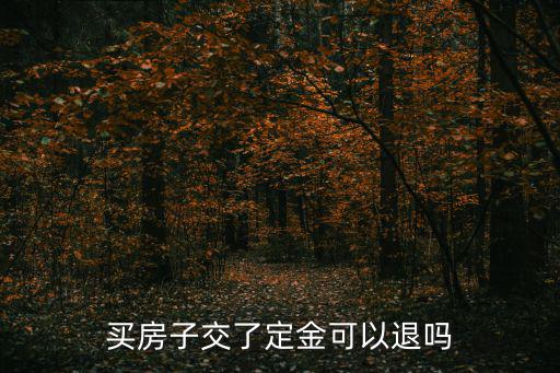 買房子交了定金可以退嗎