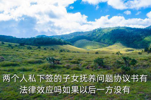 兩個人私下簽的子女撫養(yǎng)問題協(xié)議書有法律效應(yīng)嗎如果以后一方?jīng)]有
