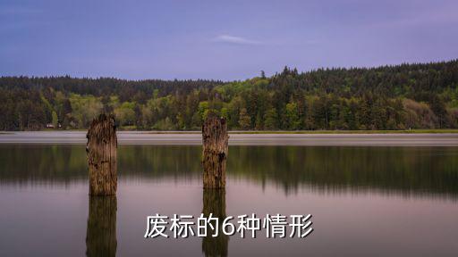 廢標(biāo)的6種情形，投標(biāo)書(shū)在哪些情況下可作為廢標(biāo)處理