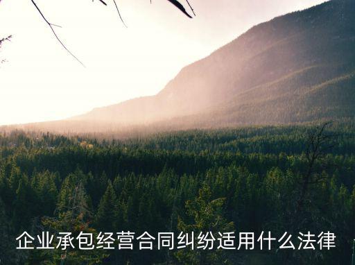 企業(yè)承包經(jīng)營合同糾紛適用什么法律