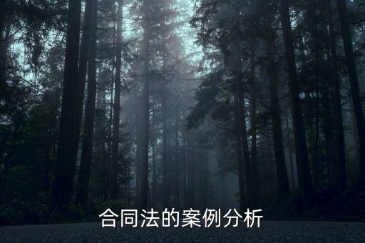 合同法案例及分析，合同法的案例分析
