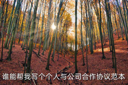 誰(shuí)能幫我寫(xiě)個(gè)個(gè)人與公司合作協(xié)議范本